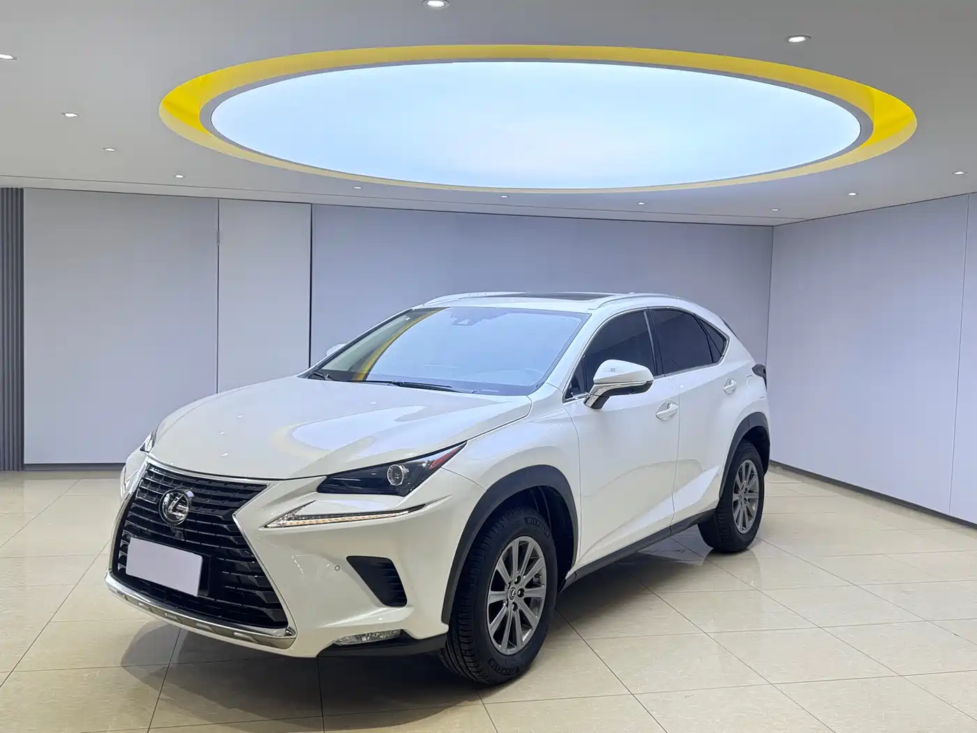 LEXUS NX