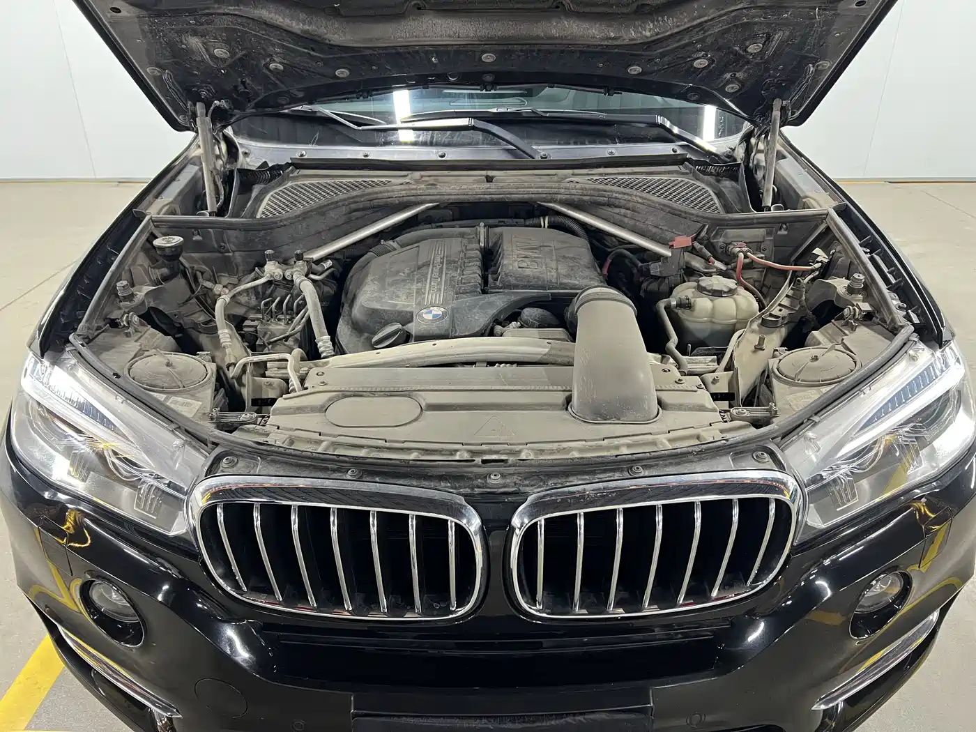 BMW X5 (Import) 2018 xDrive35i Elegant Model фото 17