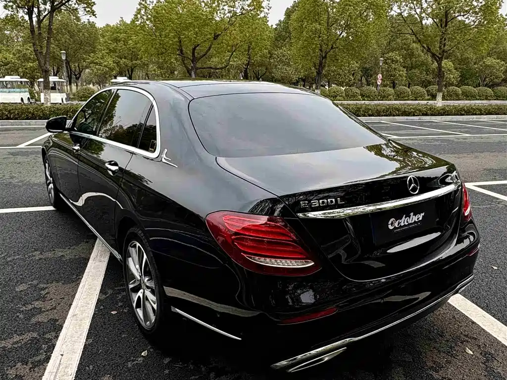 Mercedes-Benz E-Class 2019 E 200 L фото 7