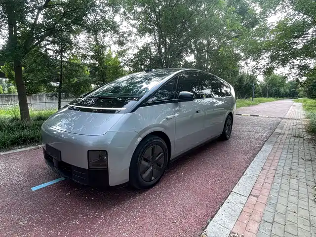 Li Auto MEGA Home, Семейная спецсерия