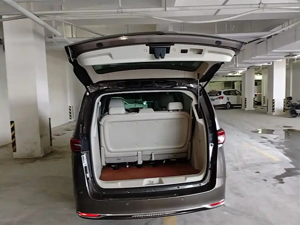Buick GL8 2021 Land Business Class 652T Premium фото 15