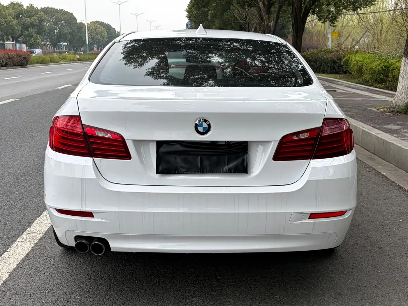 BMW 5 Series 2014 530Li Leading фото 5