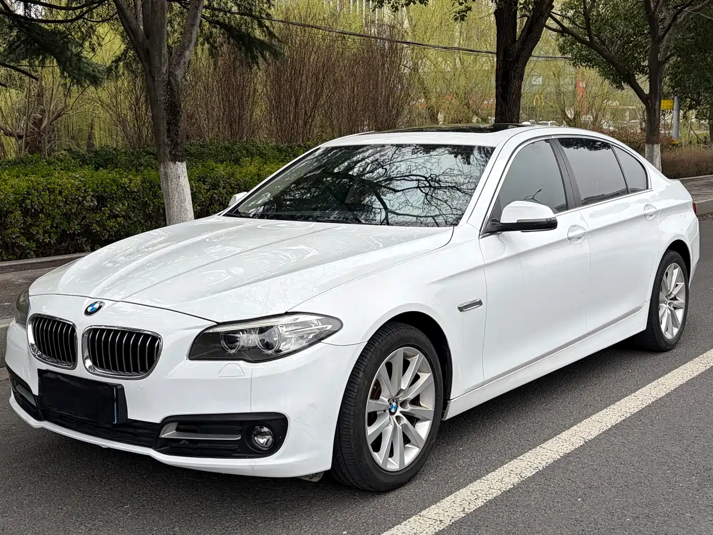 BMW 5 Series 2014 530Li Leading
