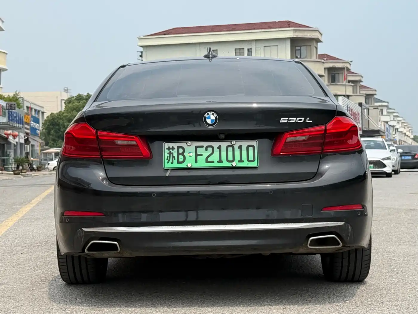 BMW 5 Series New Energy 2020 530Le Range Upgrade Luxury Package фото 8