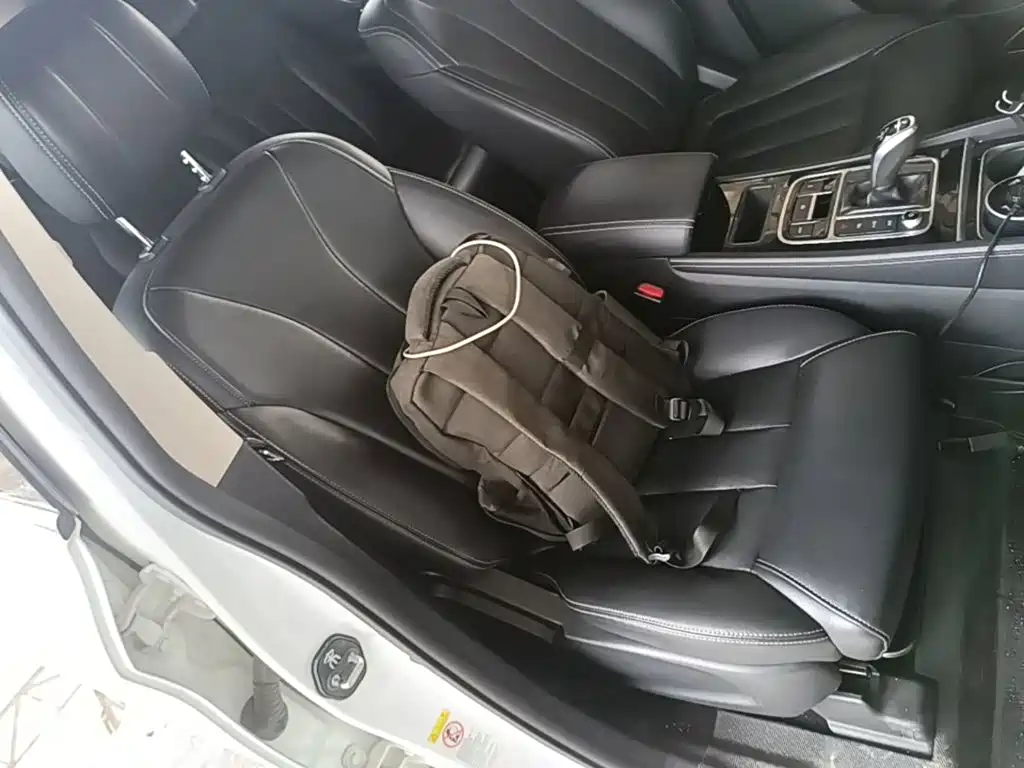 Photo 25 - BYD Song MAX