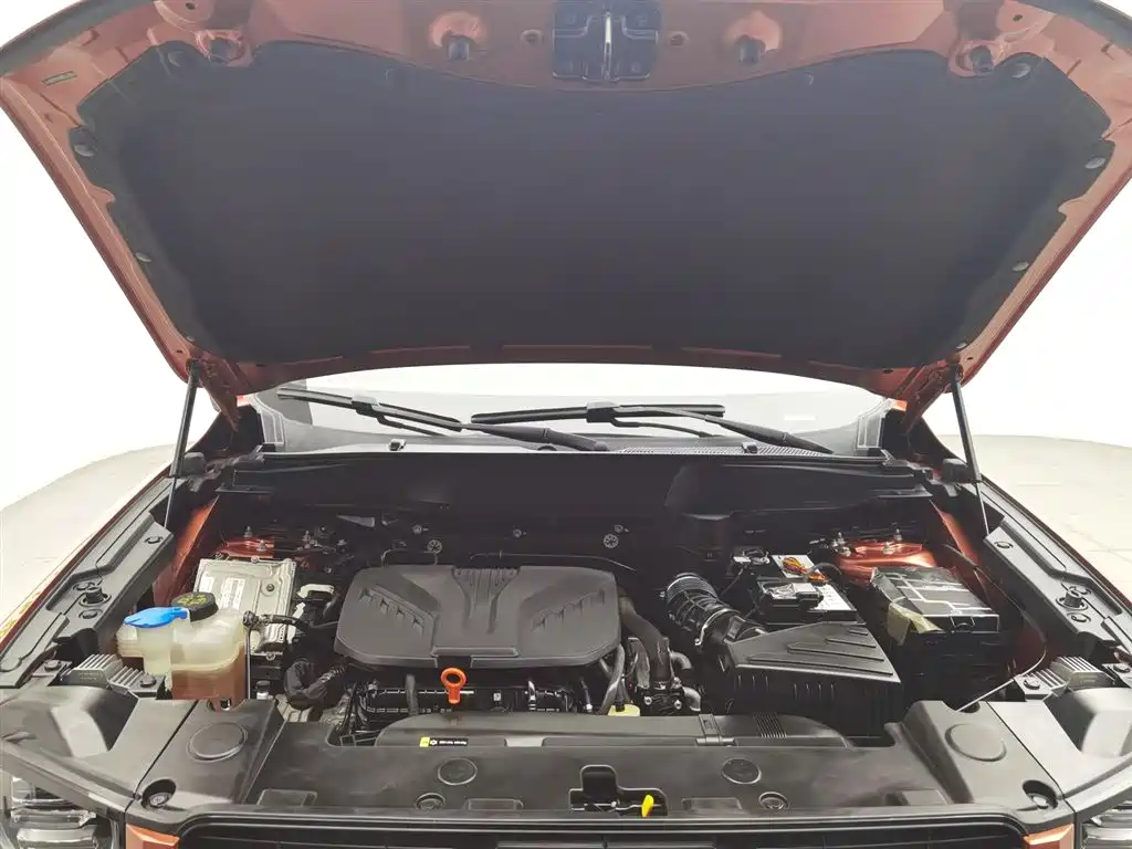 Haval Big Dog 2021 2.0T DCT 4WD Chinese Rural Dog Edition фото 6