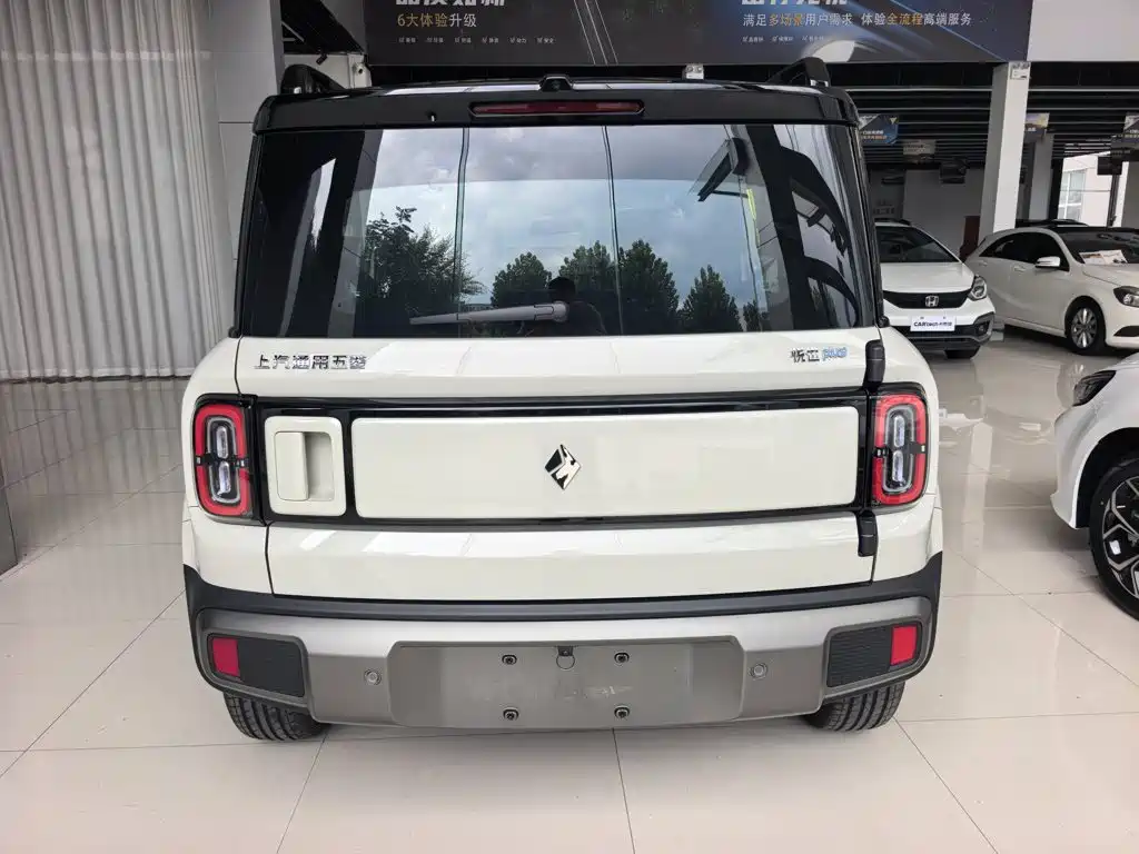 Baojun Yueye Plus 2026 2026 301km Flagship