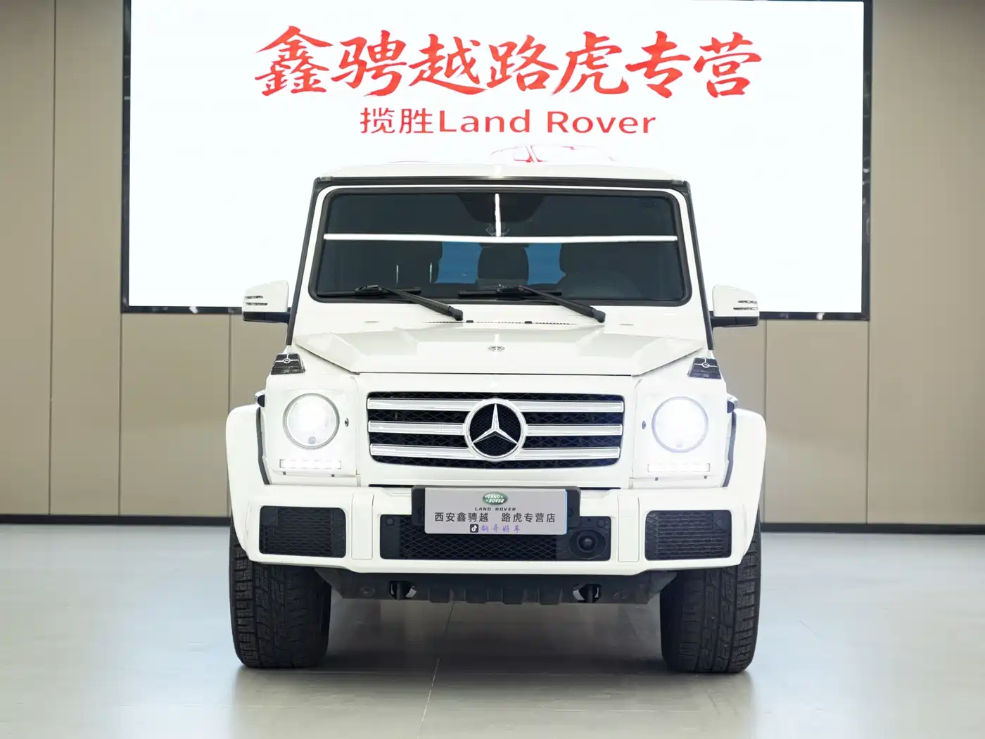 Mercedes-Benz G-Class 2017 G 500 Excellence фото 2