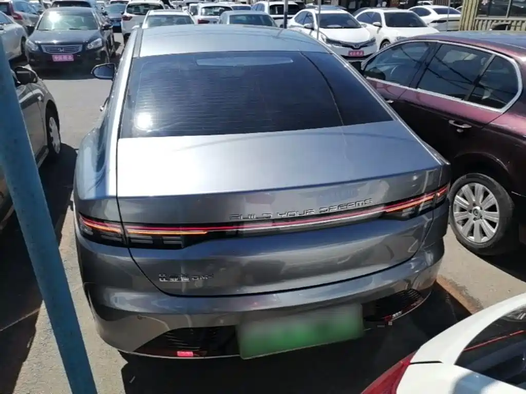 BYD Destroyer 05 2024 Glory Edition DM-i 55KM Luxury фото 6