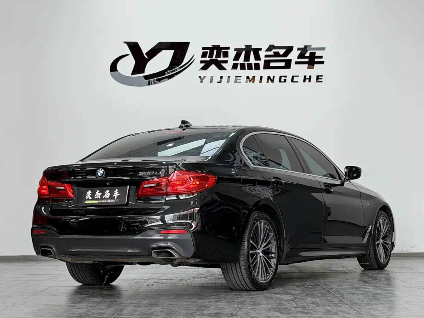 BMW 5 Series 2020 530Li Exclusive M Sport Package фото 9