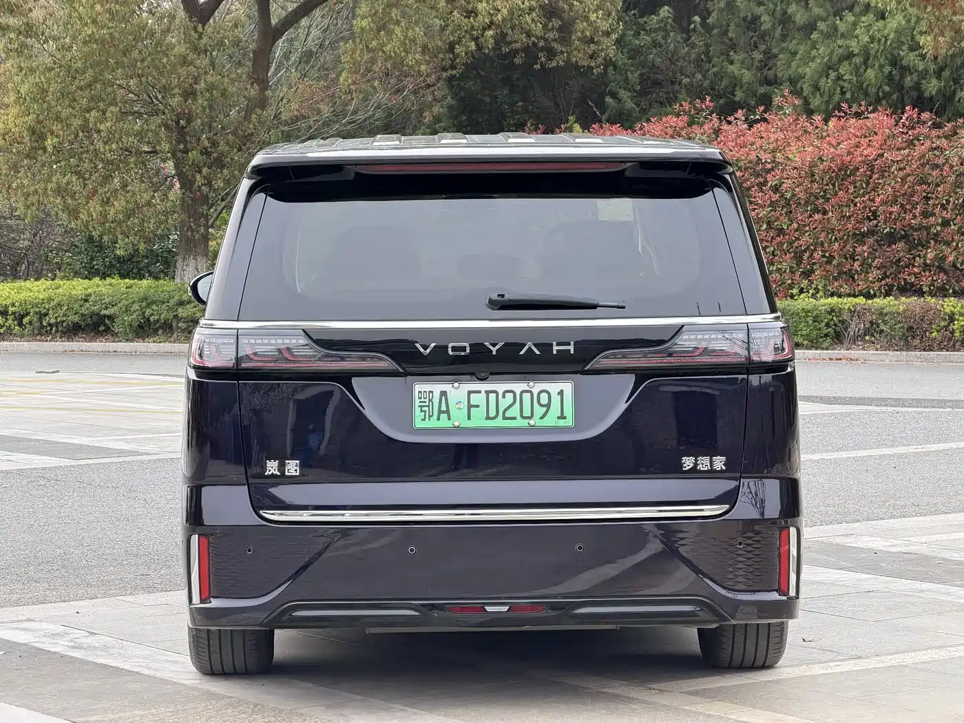 Voyah Auto Voyah Dreamer 2025 PHEV AWD Flagship Kunpeng Edition фото 15