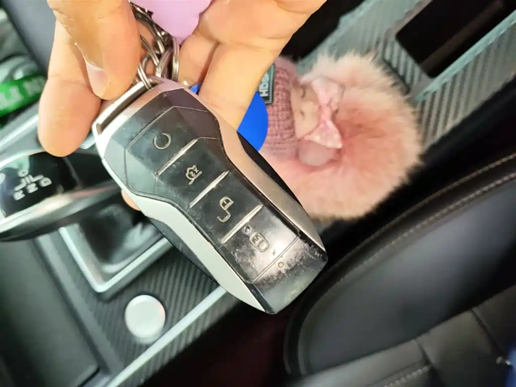 BYD Qin Pro 2018 1.5TI Automatic Smart Connected Premium Edition фото 9