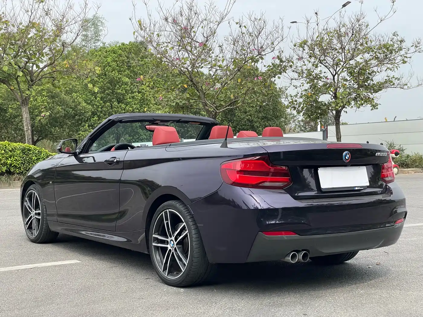 BMW 2 Series (Import) 2019 225i Convertible Coupe Exclusive M Sport Package фото 6