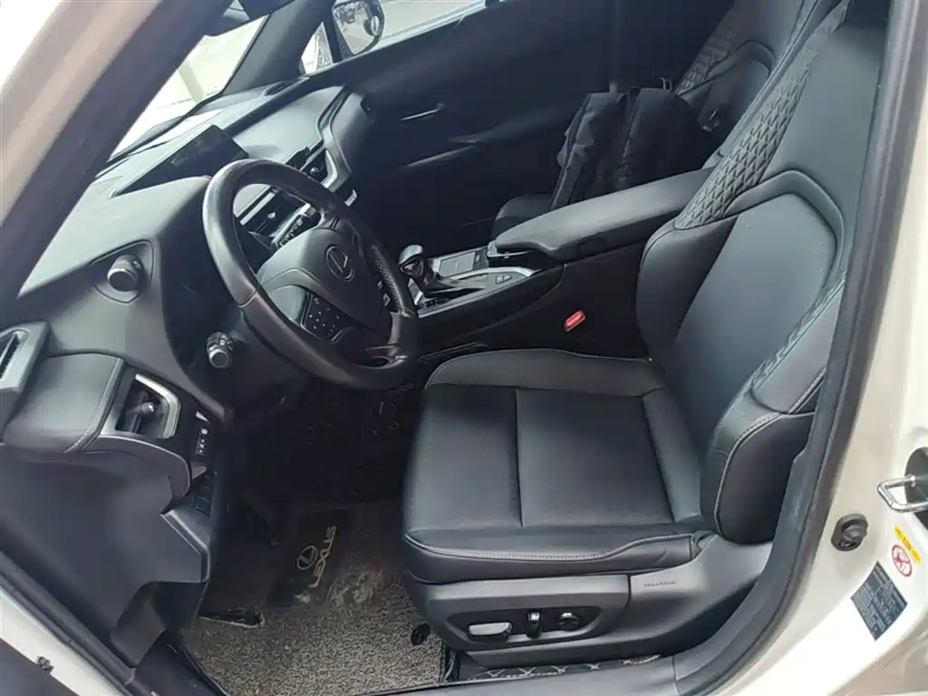 Lexus UX 2019 260h Explorer Cool Edition (China V) фото 15