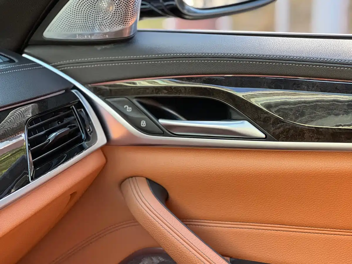 BMW 5 Series 2020 530Li Leading M Sport Package фото 22