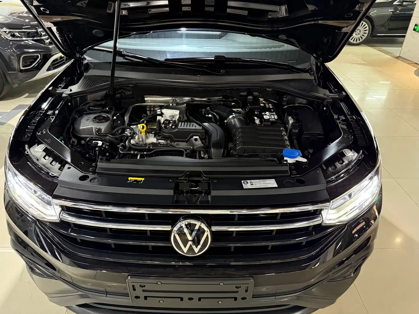 Volkswagen Tiguan L 2025 2025 Model 300TSI Auto 2WD Dragon Edition