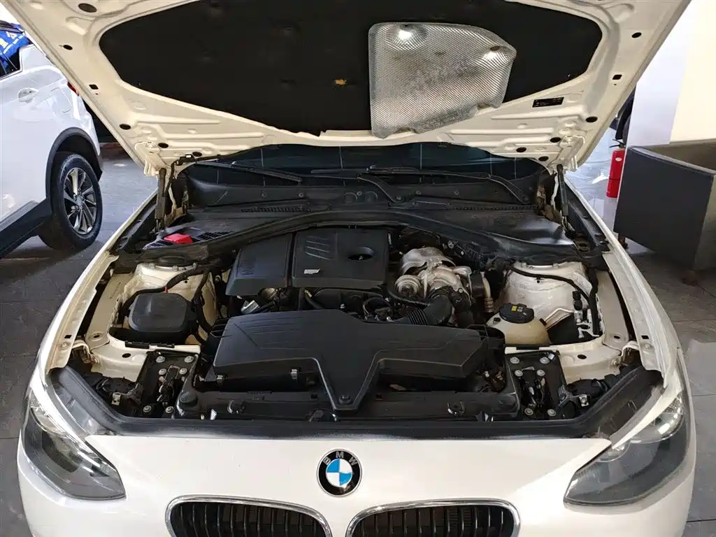 BMW 1 Series (Import) 2013 Facelift 116i Leading Model фото 20