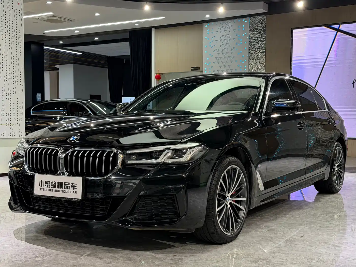 BMW 5 Series 2023 530Li Leading M Sport Package