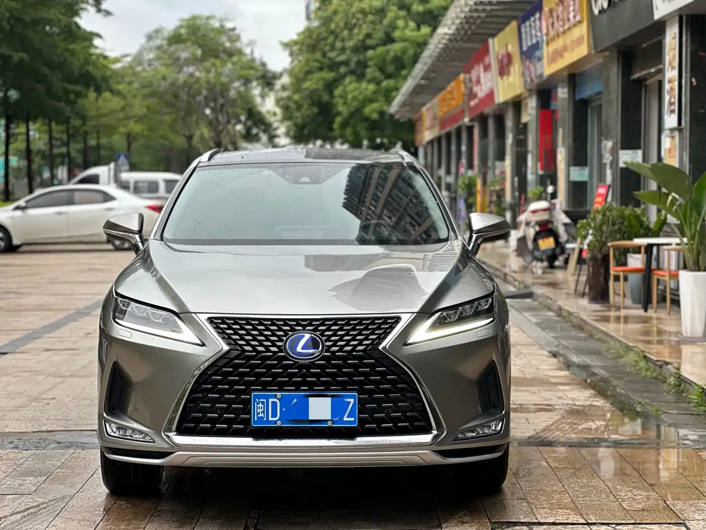 LEXUS RX
