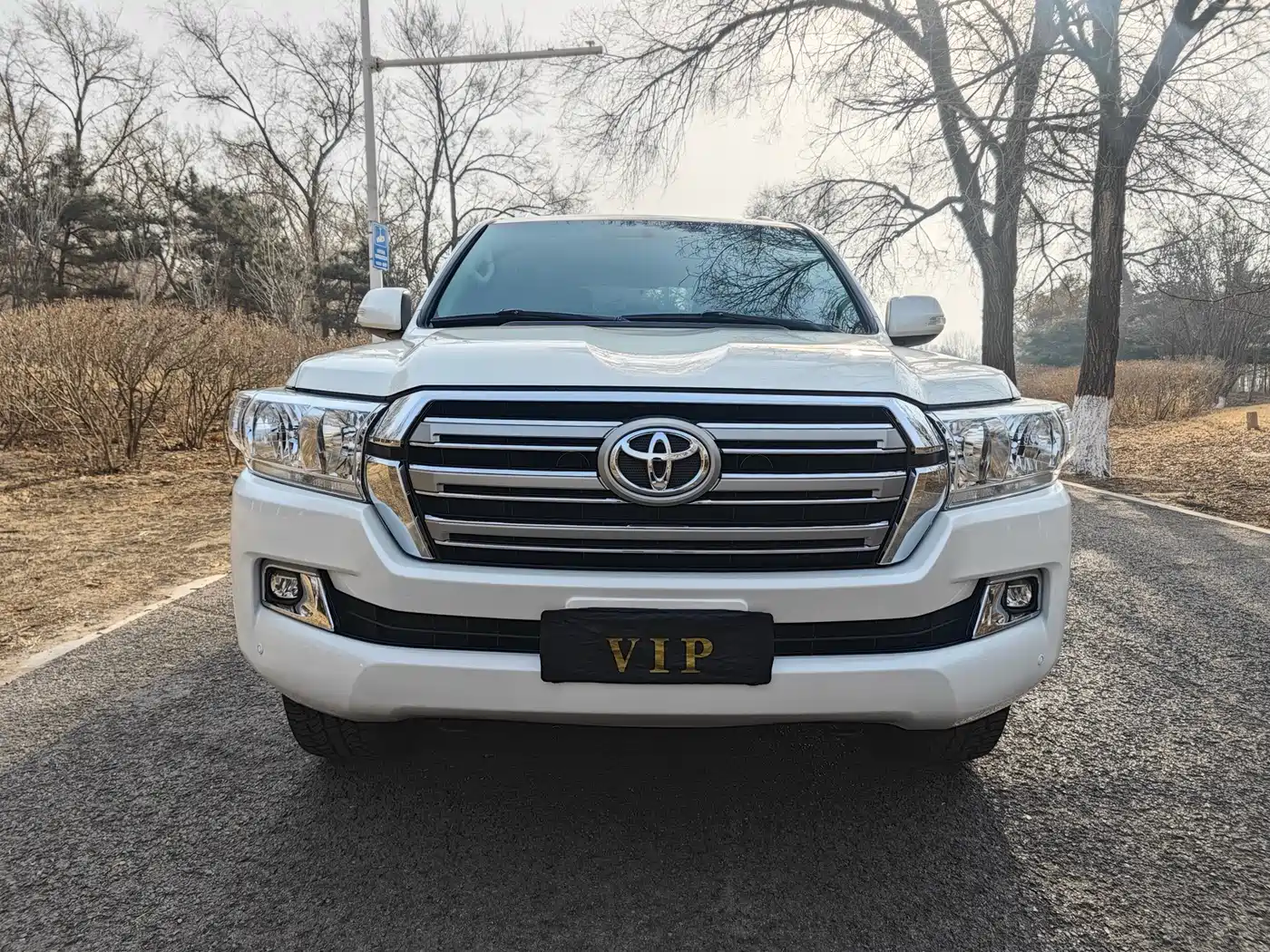 Toyota Land Cruiser (Import) фото 3