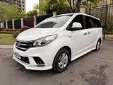 Фото 1 - Maxus G10