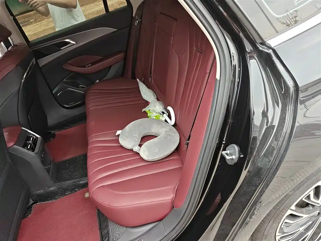 Hongqi H5 2024 2.0T Automatic Smart Connect Flag Smooth Edition фото 15