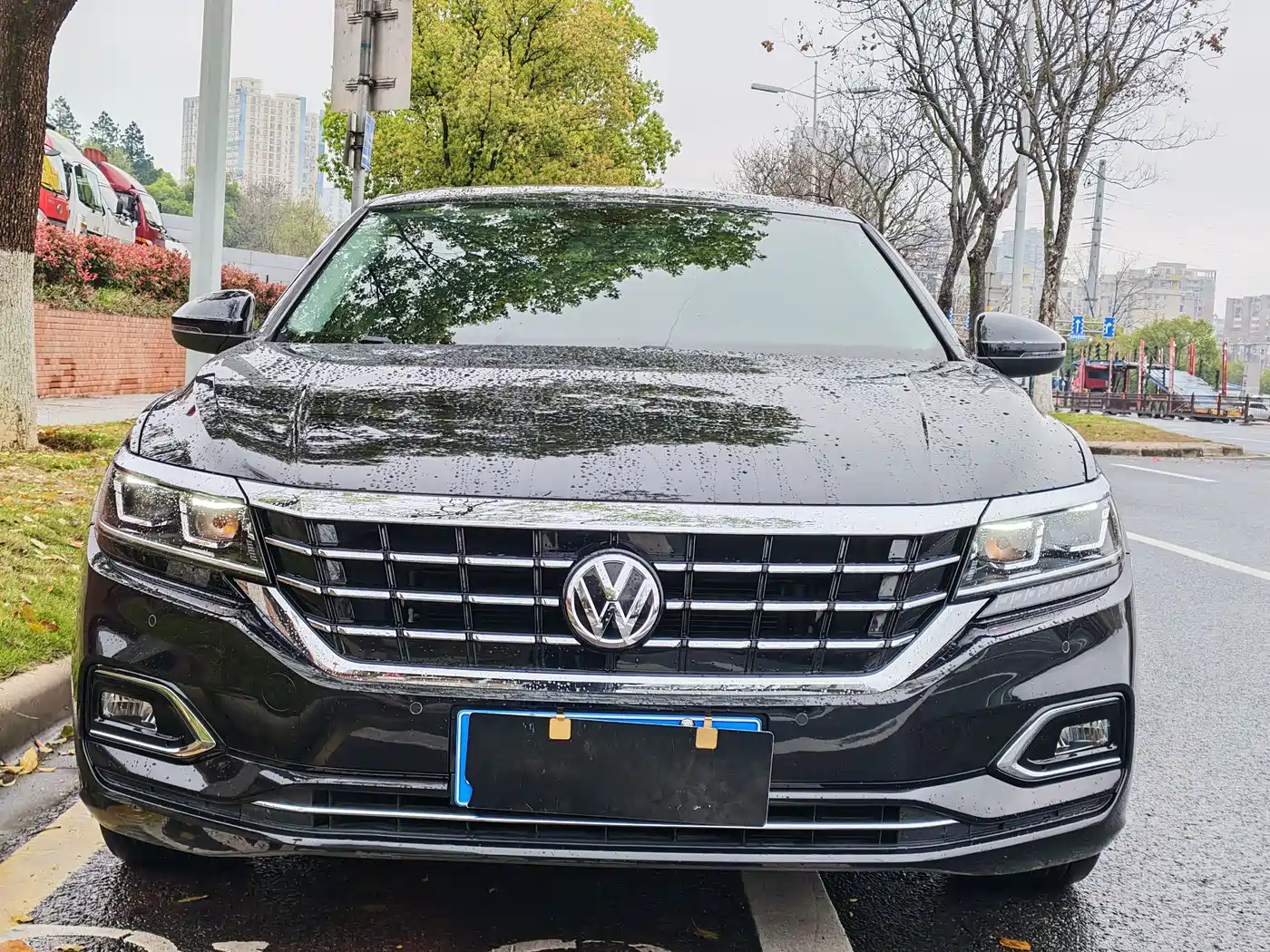 Volkswagen Passat 2019 330TSI Elite Version China VI фото 2