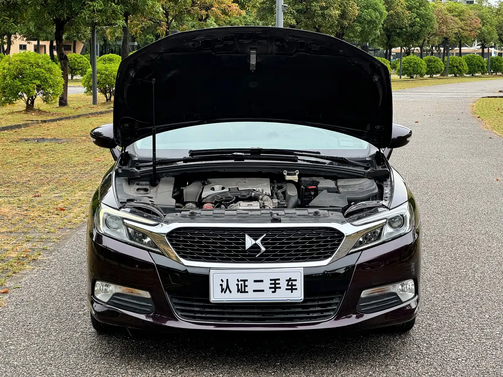 Фото 16 - DS 5LS