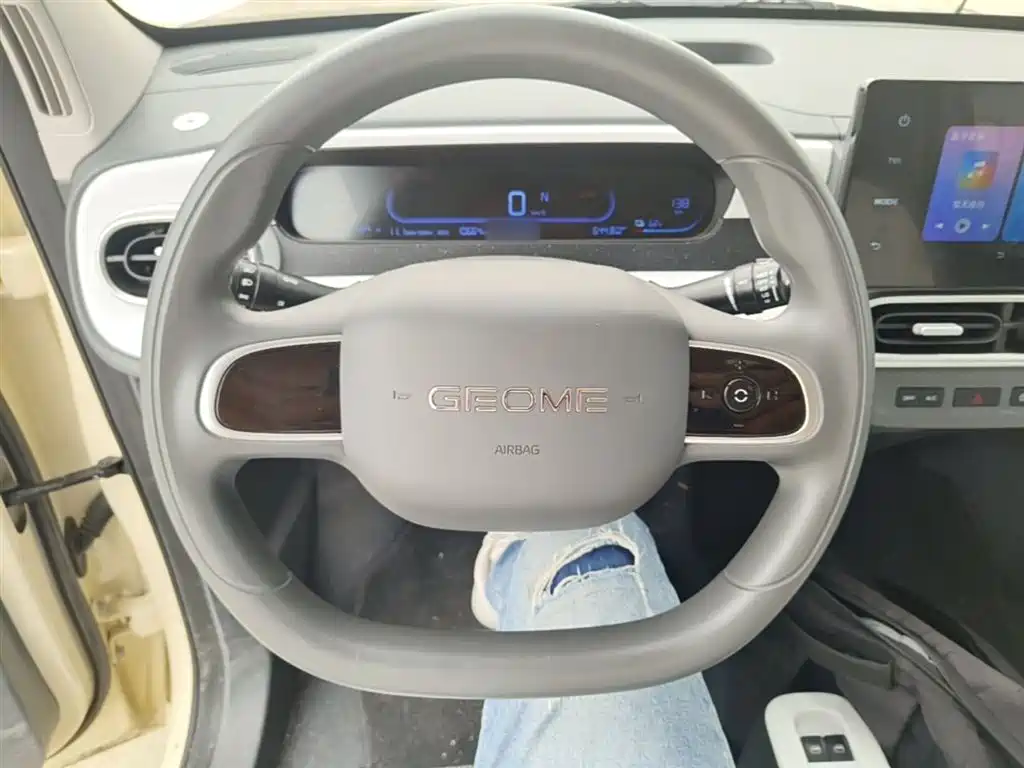 Geely Galaxy Panda 2025 Panda mini 210km Vitality Bear фото 11