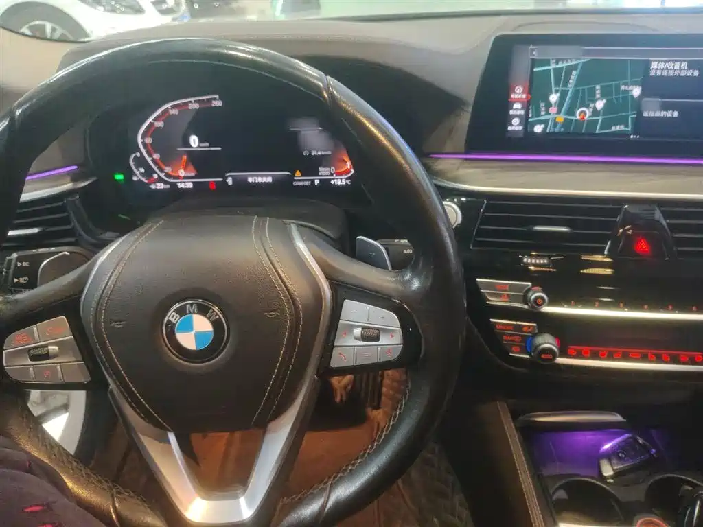 BMW 5 Series 2020 530Li Premium Luxury Package фото 10