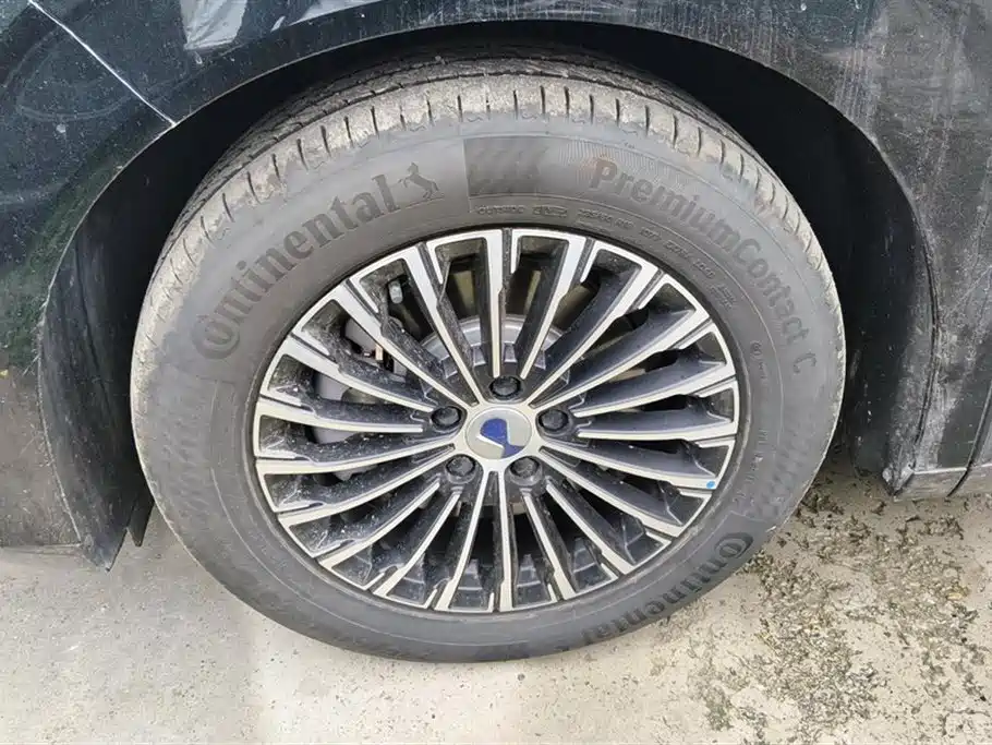 Denza D9 2025 DM-i Smart Drive Edition 1020 AWD Premium фото 6