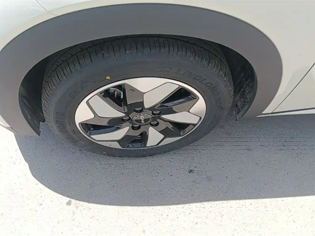 BYD Dolphin 2024 Glory Edition 420km Freedom Edition фото 23