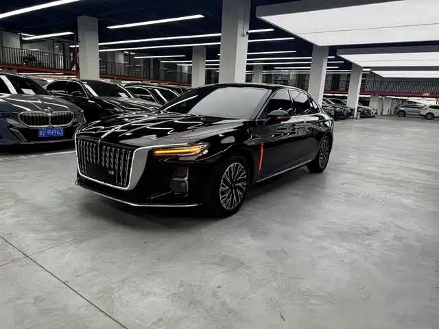 Hongqi H5 2025 2.0T Automatic Flag Celebration 500,000 Units Anniversary Edition