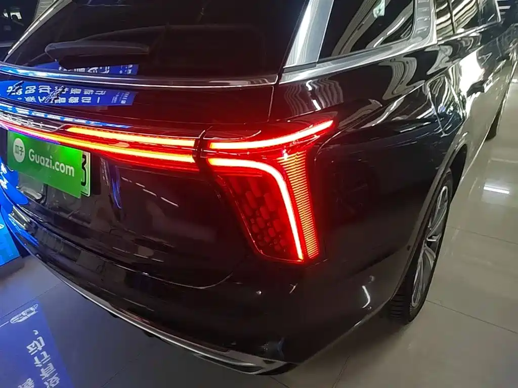Hongqi E-HS9 2022 660km Qi Chang Edition (6-seater) фото 8