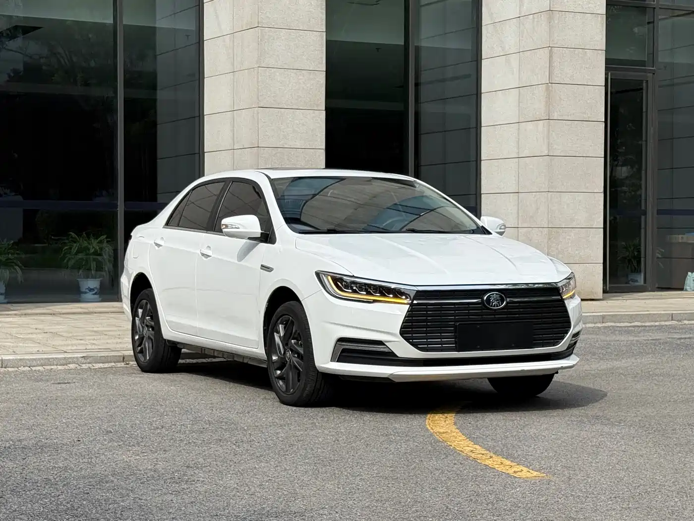 BYD Qin New Energy 2019 Long Range Edition Premium фото 3