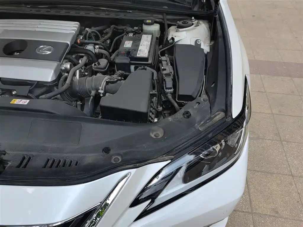 Lexus ES 2021 200 Excellence Edition фото 22