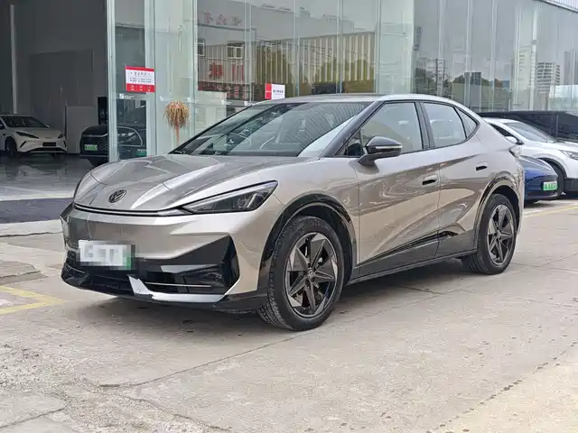 VOLKSWAGEN WITH THE CROWD 06