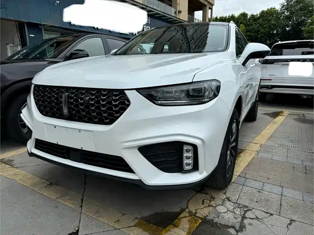 WEI PAI WEI BRAND VV5