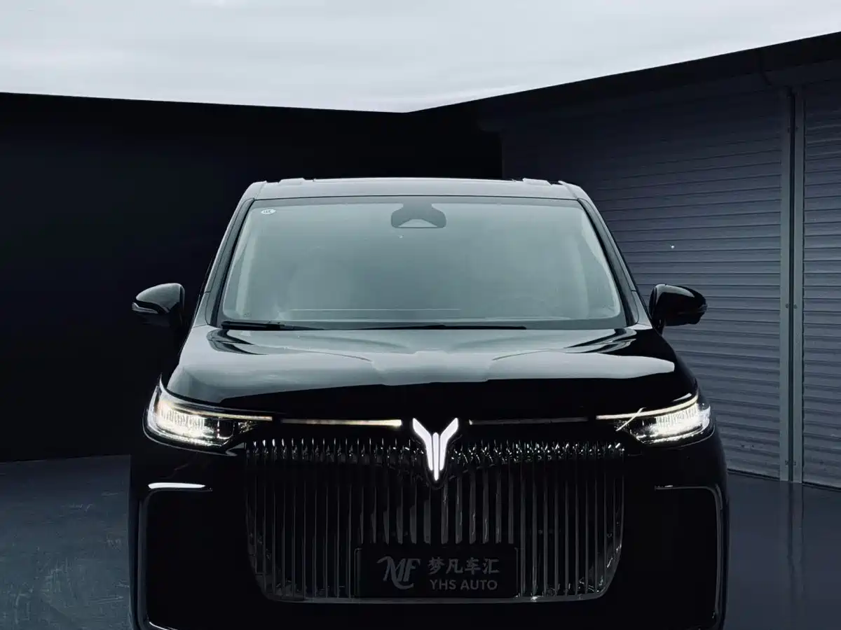 Voyah Auto Voyah Dreamer 2025 PHEV 4WD Kunpeng Premium Edition фото 2