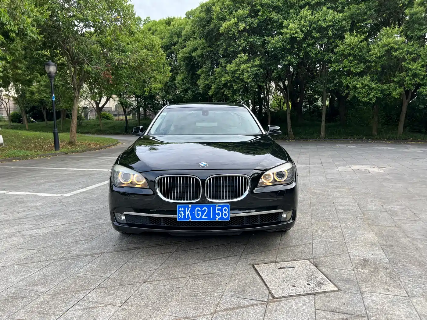 BMW 7 Series 2009 730Li Leading фото 2