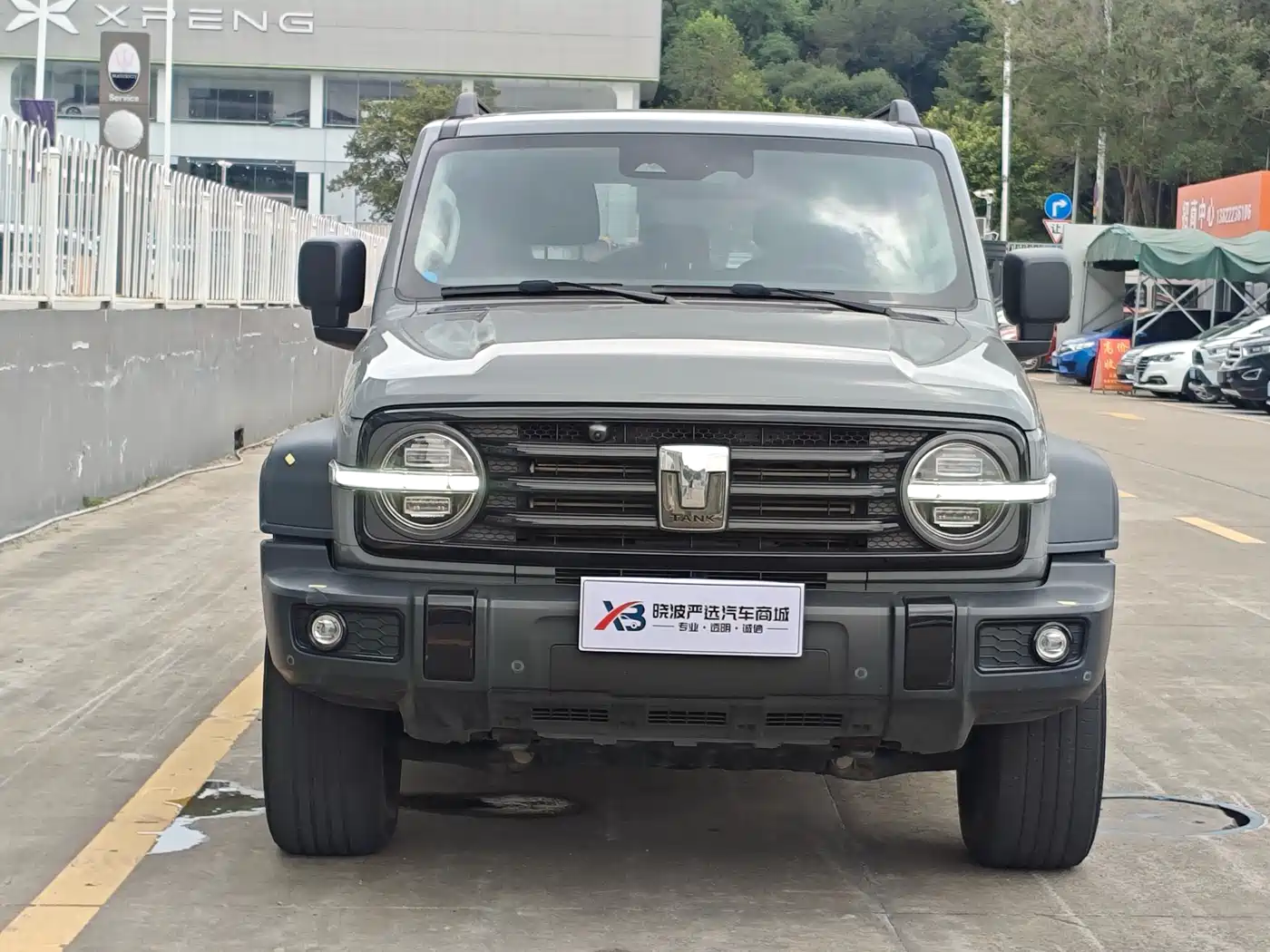 Tank 300 2021 Off-road Version 2.0T Conqueror фото 2