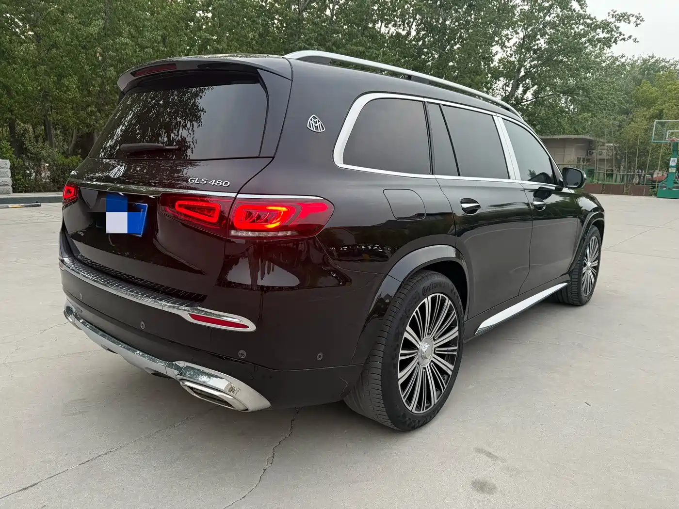 Mercedes-Benz Maybach GLS 2021 GLS 480 4MATIC фото 11