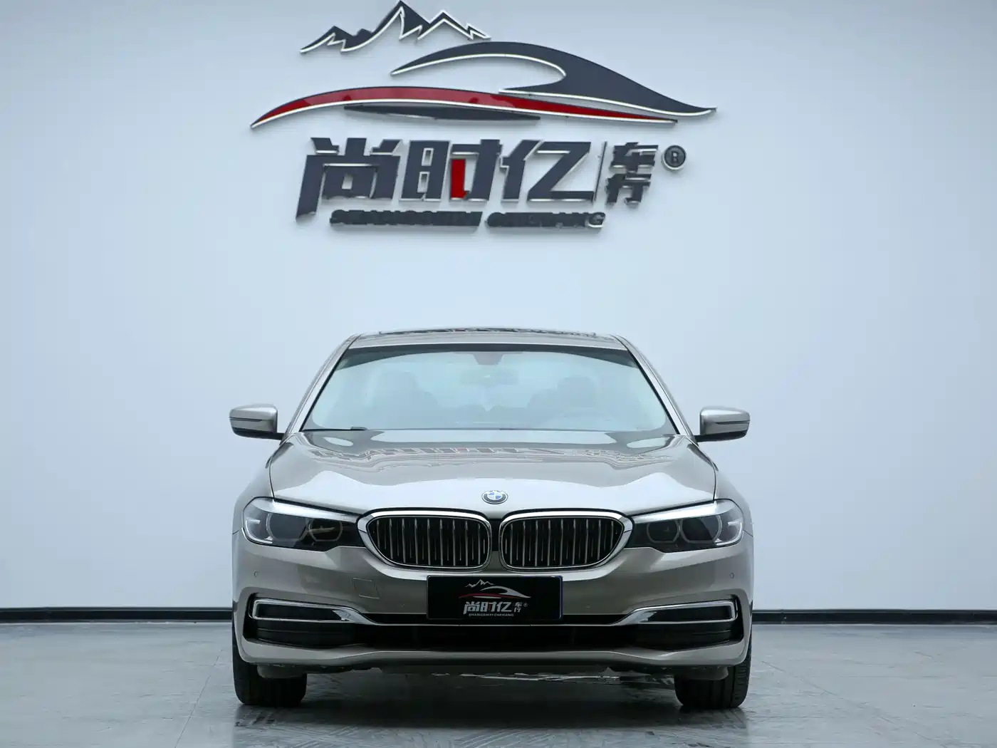 BMW 5 Series 2019 530Li Leading Luxury Package фото 3
