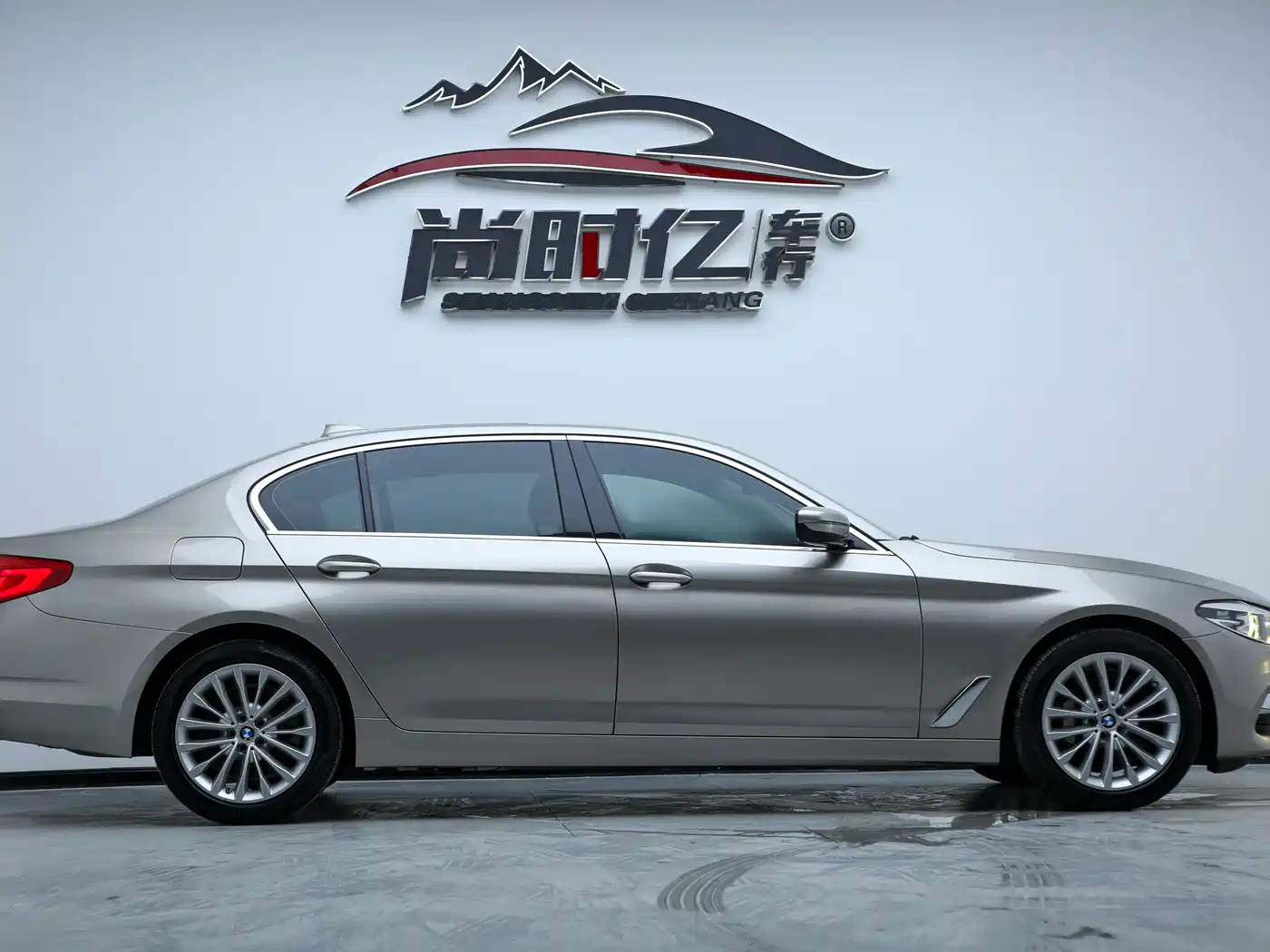 BMW 5 Series 2019 530Li Leading Luxury Package фото 6