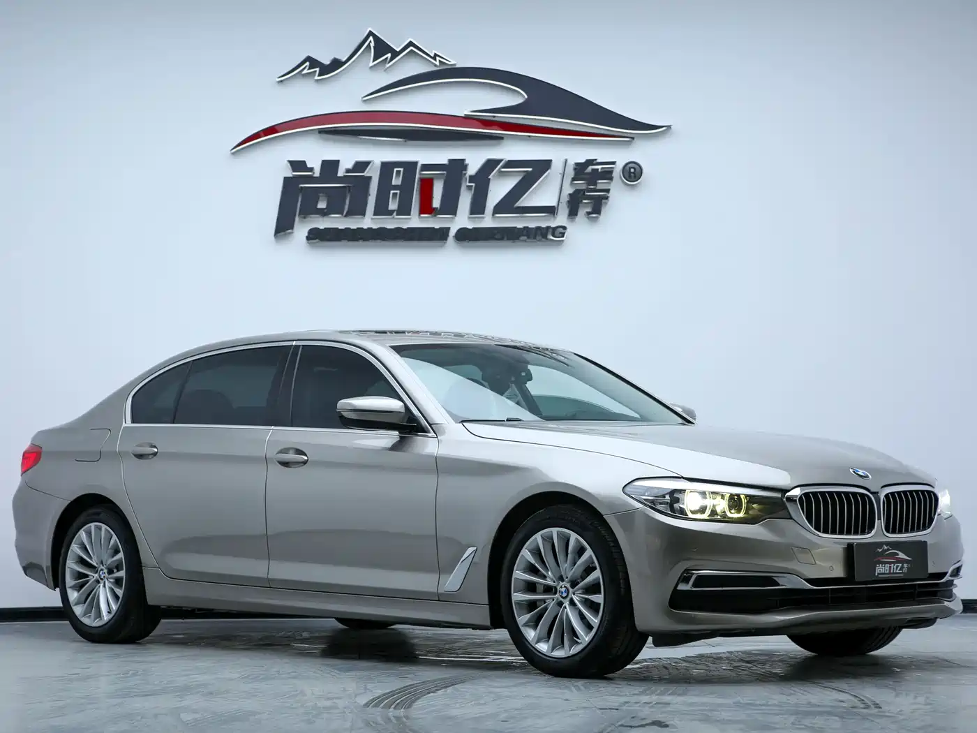 BMW 5 Series 2019 530Li Leading Luxury Package фото 5