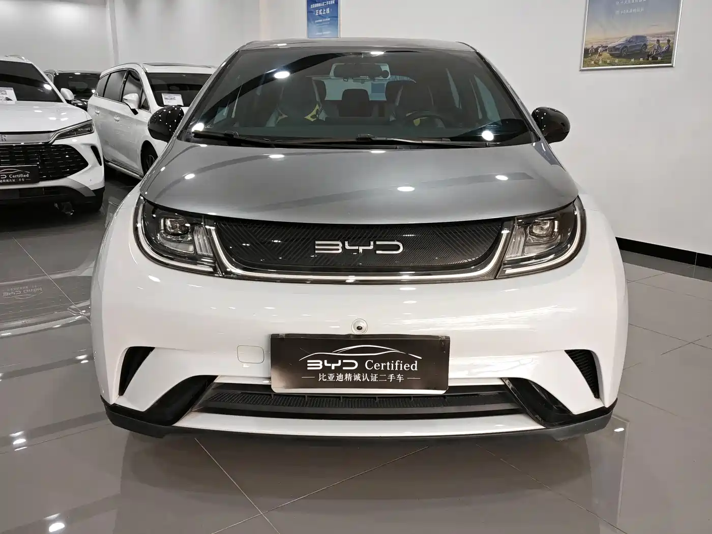 BYD DOLPHIN