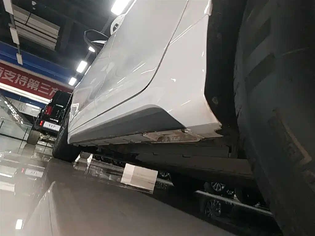 BYD Destroyer 05 2024 Glory Edition DM-i 55KM Luxury фото 22