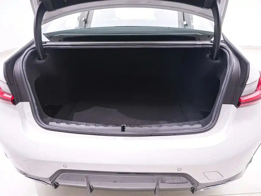 BMW 3 Series 2023 320Li M Sport Package фото 13