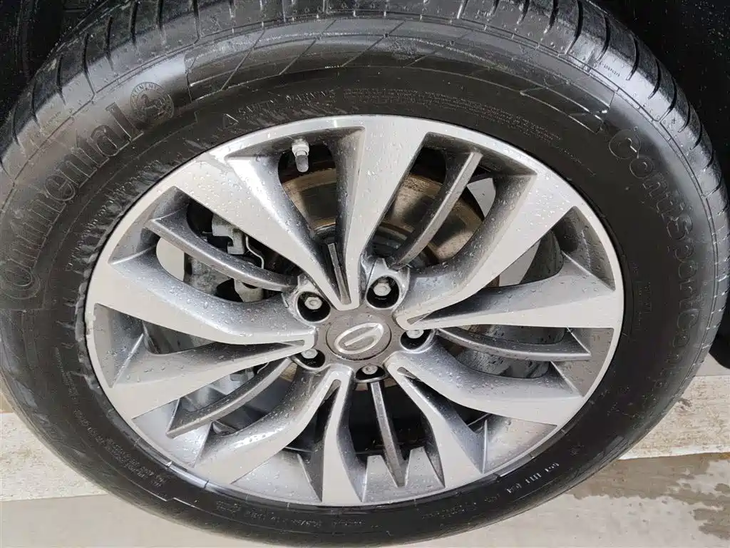 GAC Trumpchi Trumpchi GS8 2019 390T 2WD Luxury Smart Connect Edition (7-seater) фото 23