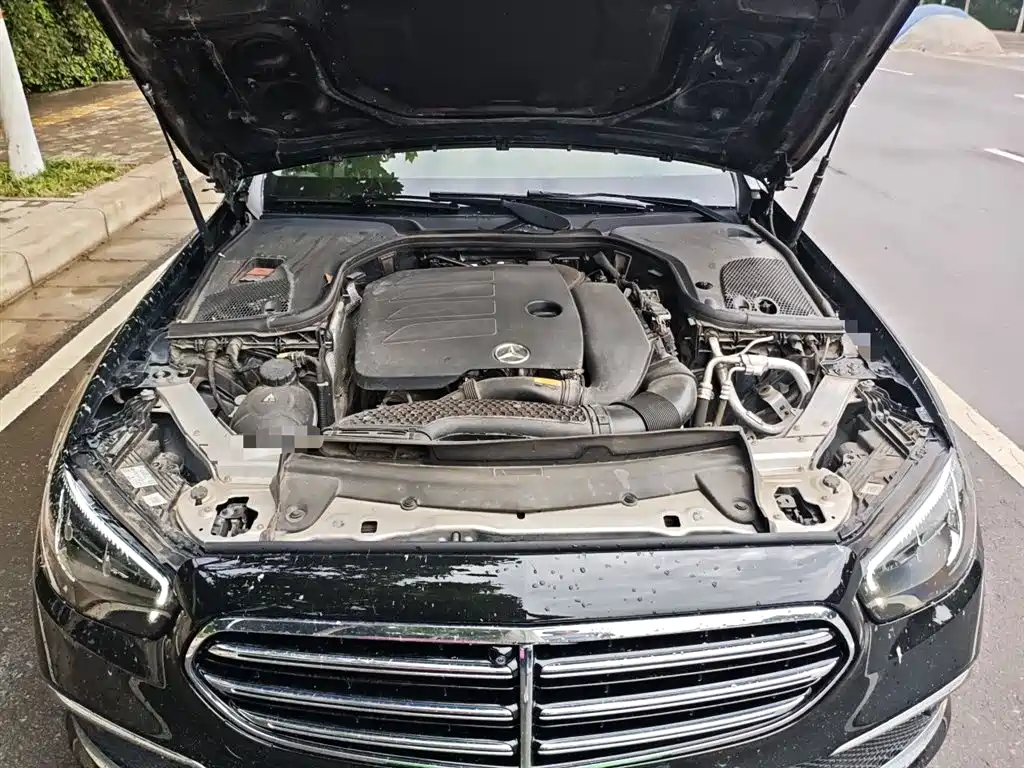 Mercedes-Benz E-Class 2023 E 300 L Luxury фото 11